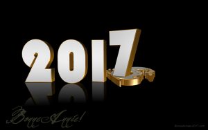 bonne-annee-2017